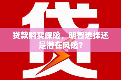 莫旗贷款购买保险，明智选择还是潜在风险？