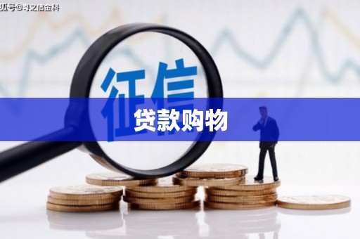 莫旗贷款购物