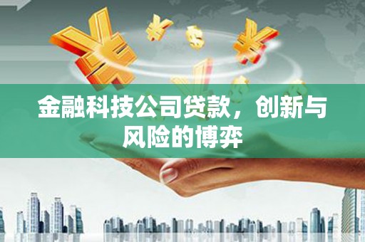 莫旗金融科技公司贷款，创新与风险的博弈