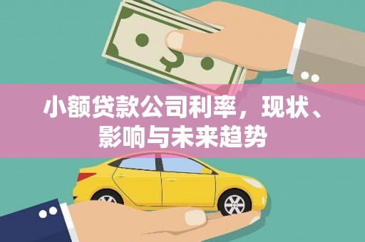 莫旗小额贷款公司利率，现状、影响与未来趋势