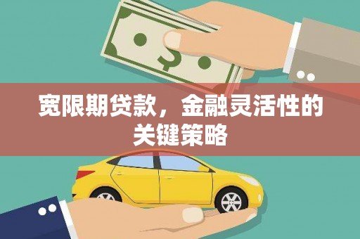 莫旗宽限期贷款，金融灵活性的关键策略