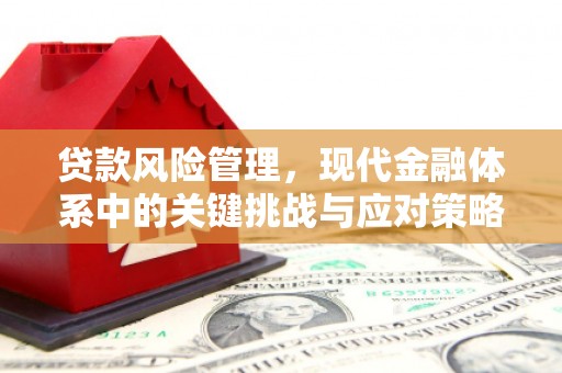 莫旗贷款风险管理，现代金融体系中的关键挑战与应对策略