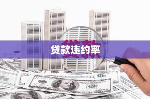 莫旗贷款违约率