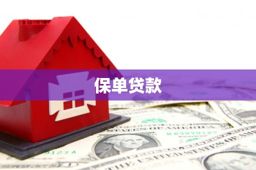 莫旗保单贷款