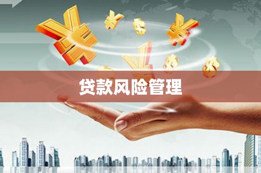 莫旗贷款风险管理