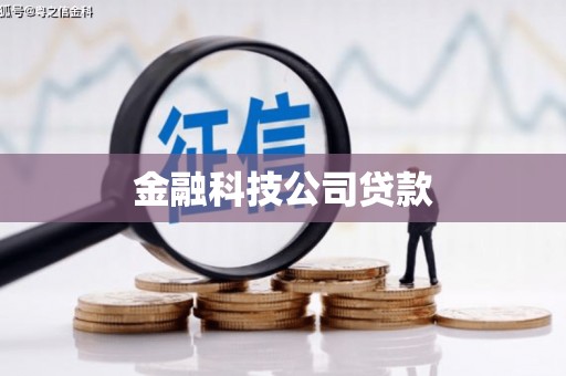 莫旗金融科技公司贷款