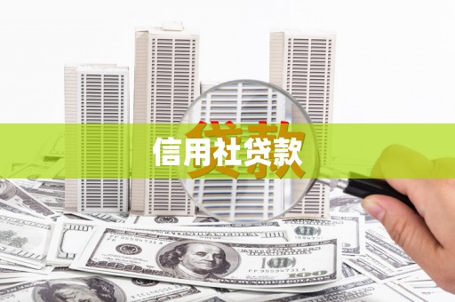 莫旗信用社贷款