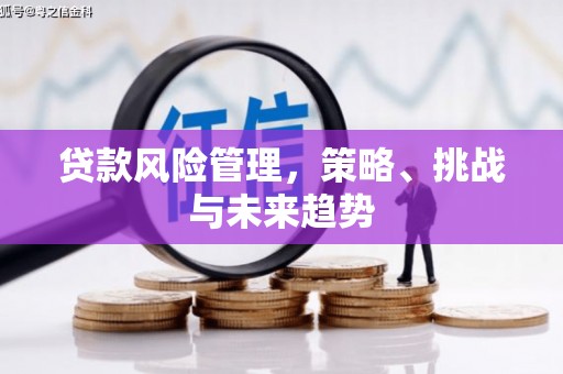 莫旗贷款风险管理，策略、挑战与未来趋势