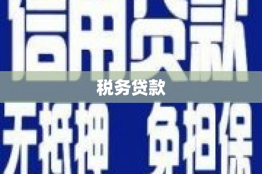莫旗税务贷款