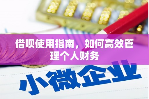 莫旗借呗使用指南，如何高效管理个人财务