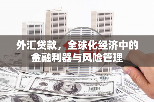 莫旗外汇贷款，全球化经济中的金融利器与风险管理
