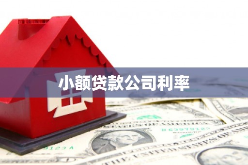 莫旗小额贷款公司利率