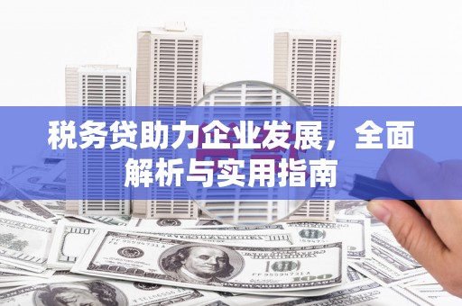莫旗税务贷助力企业发展，全面解析与实用指南