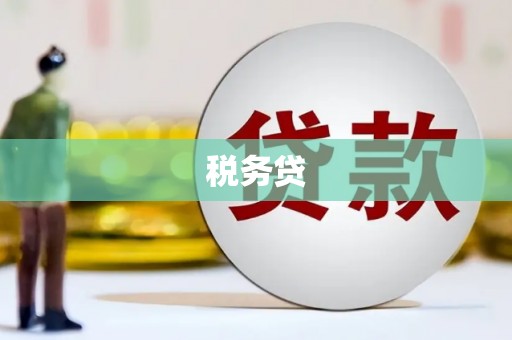 莫旗税务贷