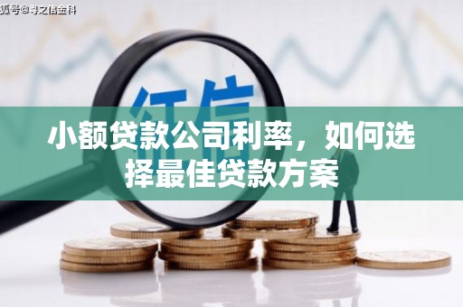 莫旗小额贷款公司利率，如何选择最佳贷款方案