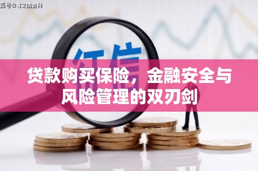 莫旗贷款购买保险，金融安全与风险管理的双刃剑