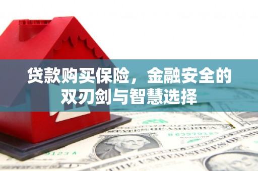 莫旗贷款购买保险，金融安全的双刃剑与智慧选择