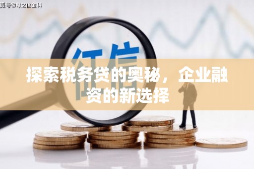莫旗探索税务贷的奥秘，企业融资的新选择