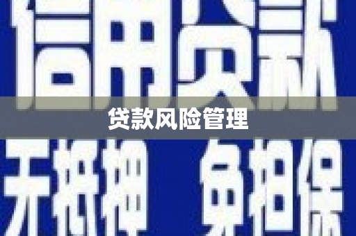 莫旗贷款风险管理