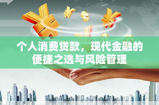 莫旗个人消费贷款，现代金融的便捷之选与风险管理