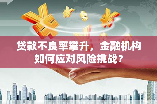 莫旗贷款不良率攀升，金融机构如何应对风险挑战？