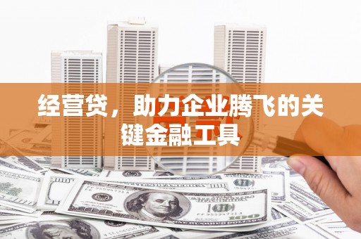 莫旗经营贷，助力企业腾飞的关键金融工具