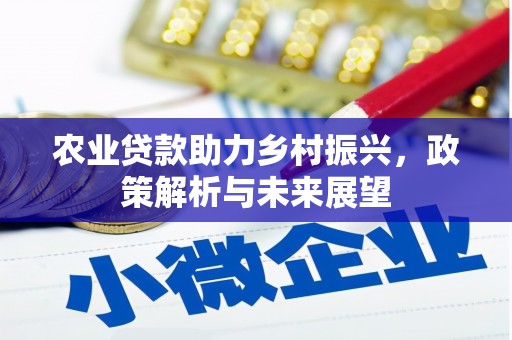 莫旗农业贷款助力乡村振兴，政策解析与未来展望