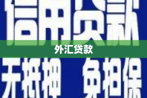 莫旗外汇贷款