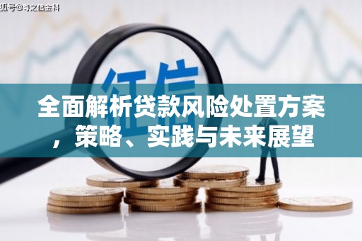 莫旗全面解析贷款风险处置方案，策略、实践与未来展望