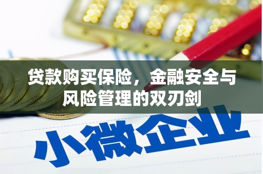 莫旗贷款购买保险，金融安全与风险管理的双刃剑