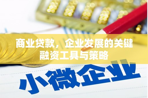 莫旗商业贷款，企业发展的关键融资工具与策略