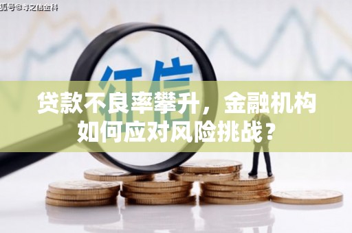 莫旗贷款不良率攀升，金融机构如何应对风险挑战？