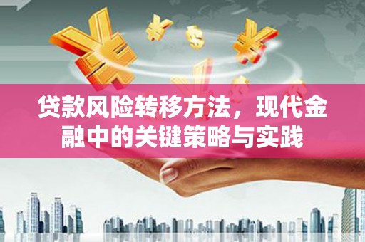 莫旗贷款风险转移方法，现代金融中的关键策略与实践