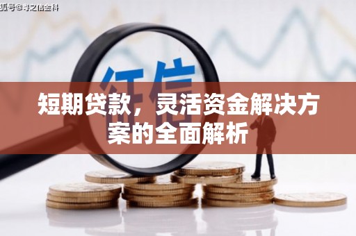 莫旗短期贷款，灵活资金解决方案的全面解析