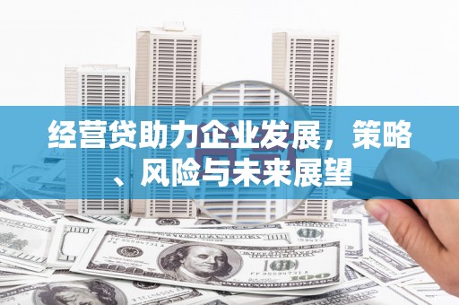 莫旗经营贷助力企业发展，策略、风险与未来展望