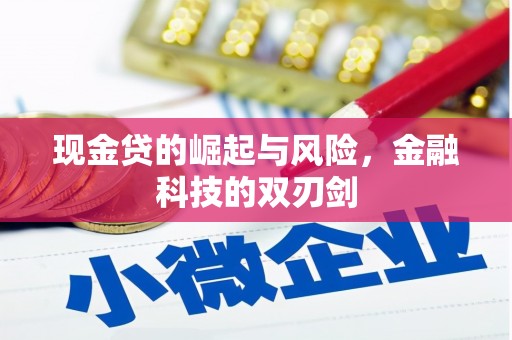 莫旗现金贷的崛起与风险，金融科技的双刃剑