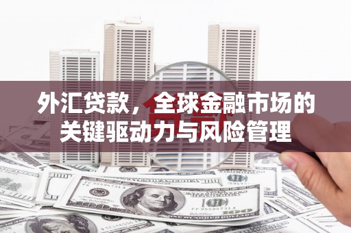 莫旗外汇贷款，全球金融市场的关键驱动力与风险管理