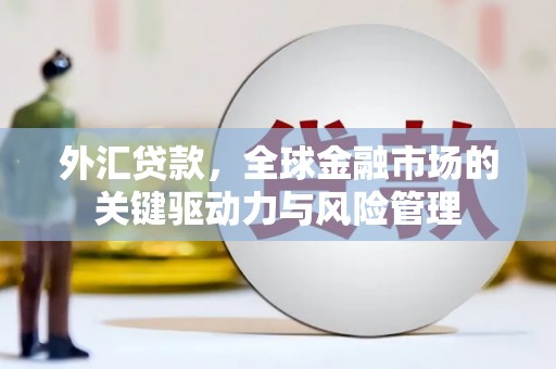 莫旗外汇贷款，全球金融市场的关键驱动力与风险管理