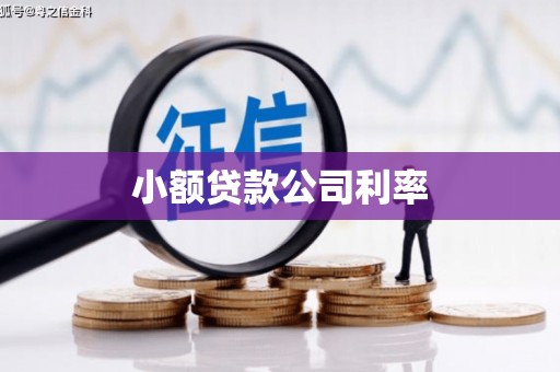 莫旗小额贷款公司利率