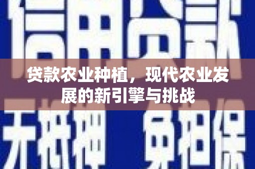 莫旗贷款农业种植，现代农业发展的新引擎与挑战