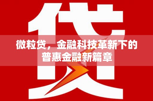莫旗微粒贷，金融科技革新下的普惠金融新篇章