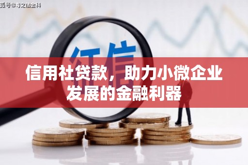 莫旗信用社贷款，助力小微企业发展的金融利器