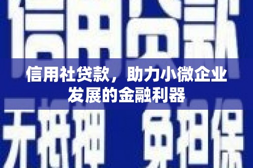 莫旗信用社贷款，助力小微企业发展的金融利器