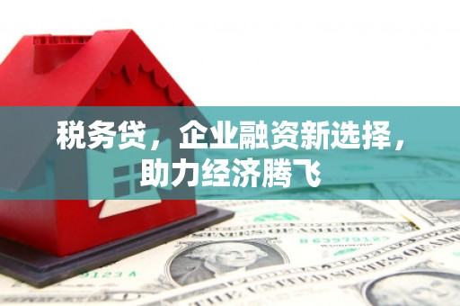 莫旗税务贷，企业融资新选择，助力经济腾飞