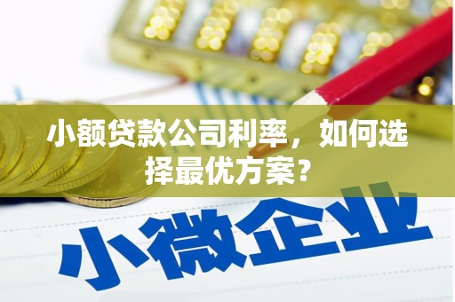 莫旗小额贷款公司利率，如何选择最优方案？