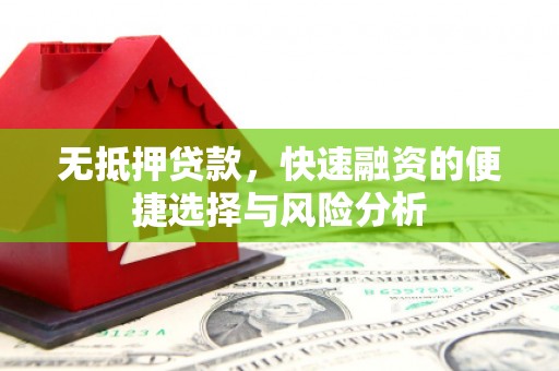 莫旗无抵押贷款，快速融资的便捷选择与风险分析