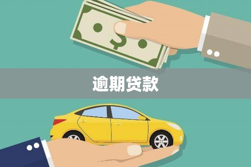 莫旗逾期贷款