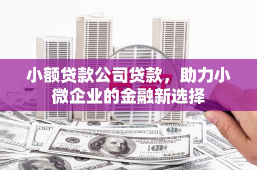 莫旗小额贷款公司贷款，助力小微企业的金融新选择