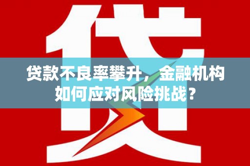 莫旗贷款不良率攀升，金融机构如何应对风险挑战？