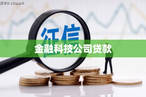 莫旗金融科技公司贷款